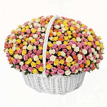 Премиум букет из: Розы #REPLACE_PRED# Веселом Ставропольского края