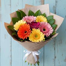 Букет цветов из:  Герберы #REPLACE_PRED# Веселом Ставропольского края