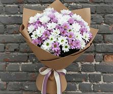 Букет цветов из:  Хризантемы #REPLACE_PRED# Веселом Ставропольского края