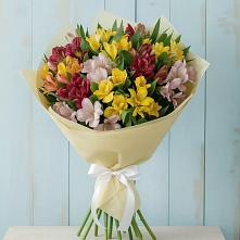 Букет цветов из:  Альстромерии #REPLACE_PRED# Веселом Ставропольского края