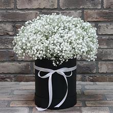 Цветочная композиция из Гипсофила в шляпной коробке #REPLACE_PRED# Веселом Ставропольского края
