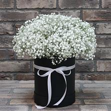 Цветочная композиция из Гипсофила в шляпной коробке в Веселом Ставропольского края