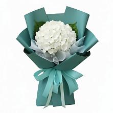 Букет цветов из:  Гортензия в Веселом Ставропольского края